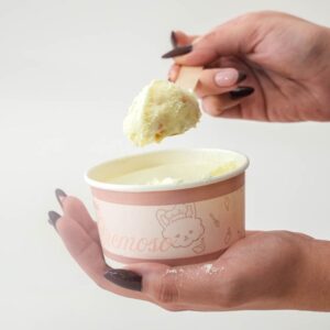 foto pavé de leche klim